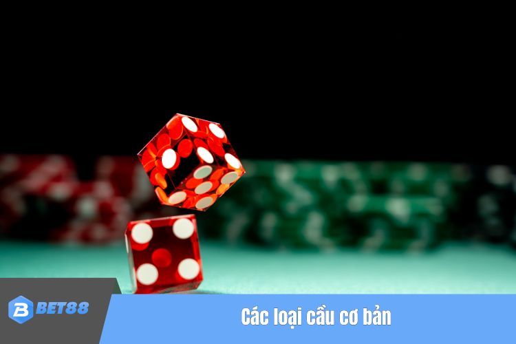 Các loại cầu cơ bản