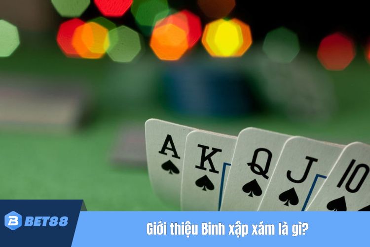 Giới thiệu Binh xập xám là gì?