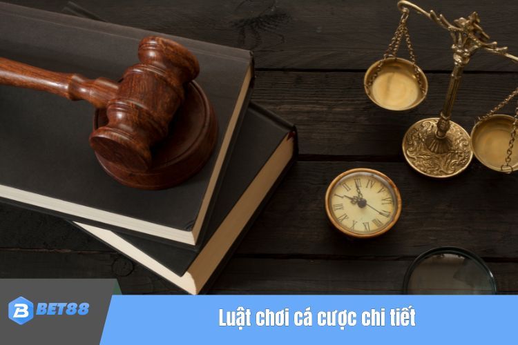 Luật chơi cá cược chi tiết